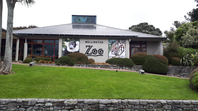 NEWS: Wellington Zoo Tersano Install