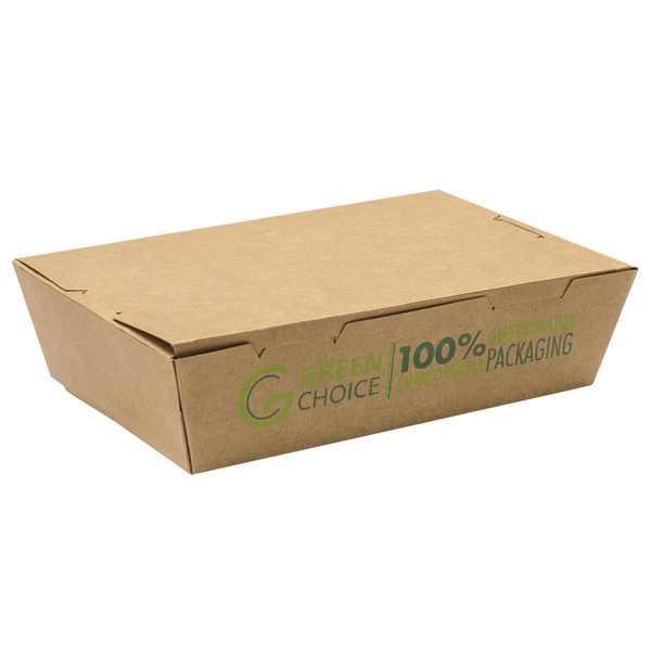 Green Choice Takeaway Box - Medium