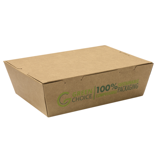 Green Choice Takeaway Box - Large