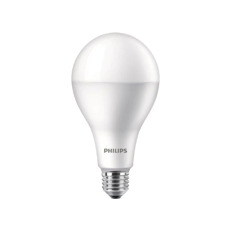 Light Bulbs - LED
