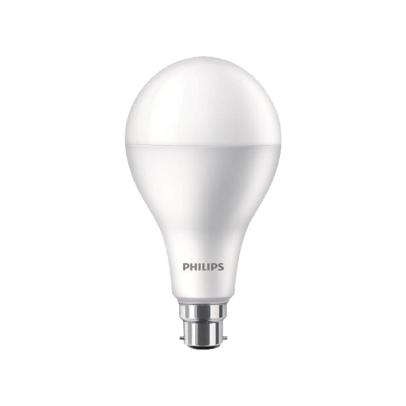 Light Bulbs - LED